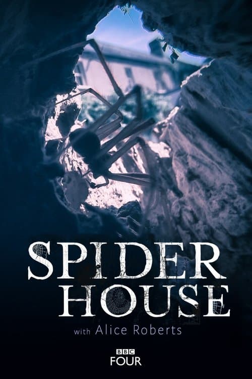 Spider Houseのポスター