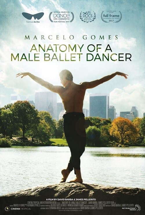 Anatomy of a Male Ballet Dancerのポスター