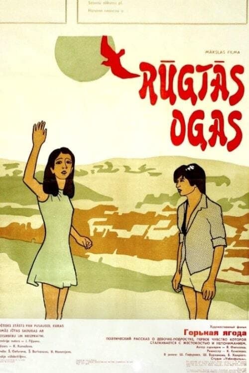 Achchiq danakのポスター