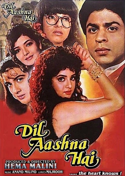 दिल आशना हैのポスター