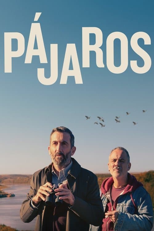 Pájarosのポスター