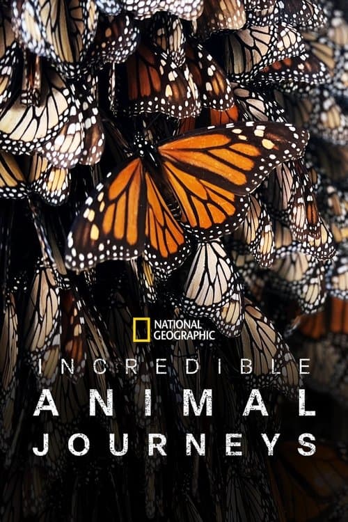 Incredible Animal Journeysのポスター
