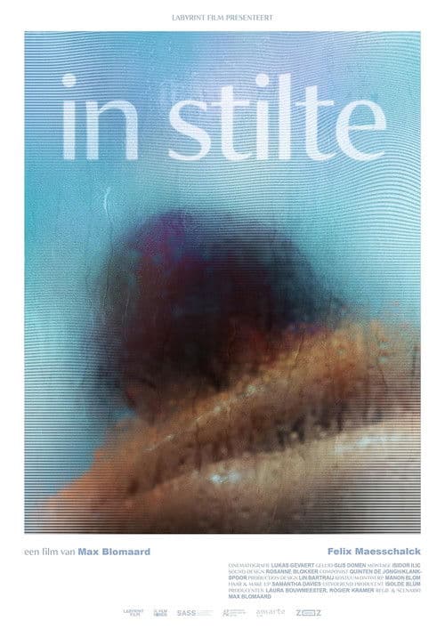 In Stilteのポスター