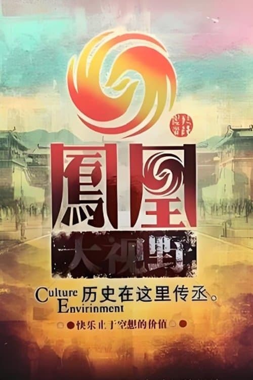 凤凰大视野のポスター