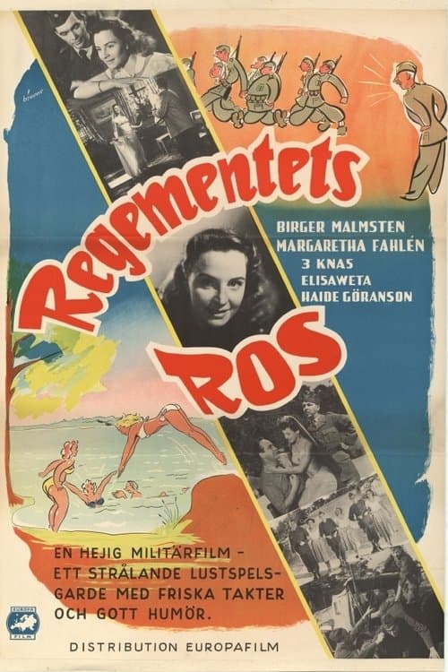 Regementets rosのポスター