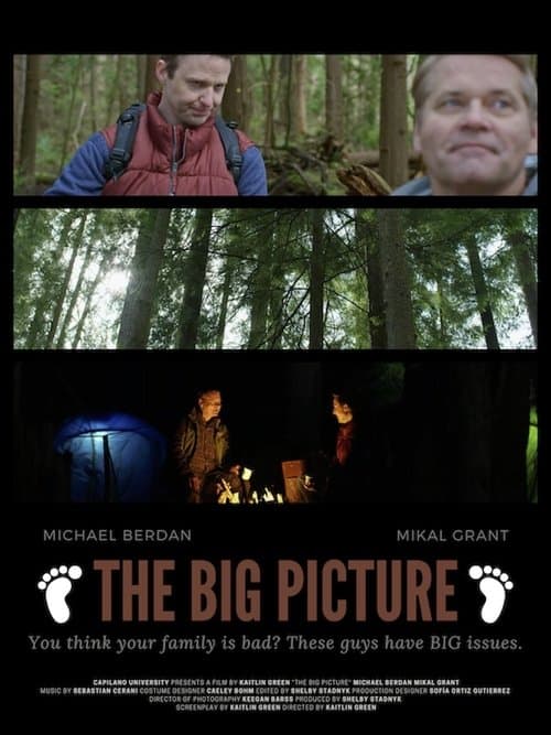The Big Pictureのポスター