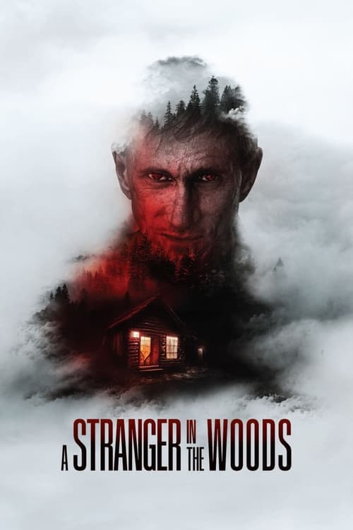 A Stranger in the Woodsのポスター