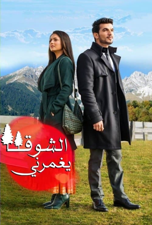 Pardes Mein Hai Mera Dilのポスター