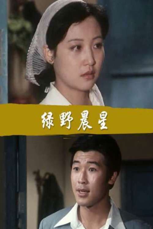 绿野晨星のポスター