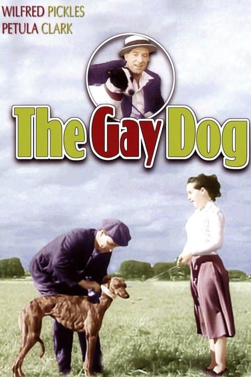 The Gay Dogのポスター