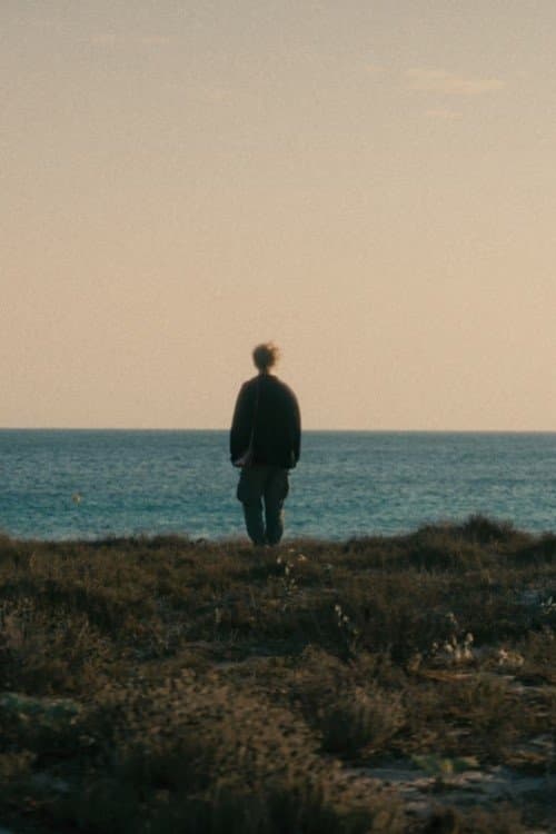 Anemoniaのポスター