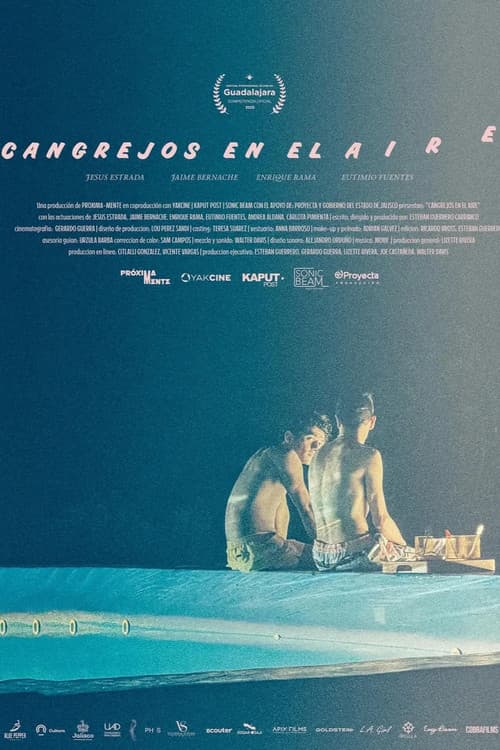 Cangrejos en el aireのポスター