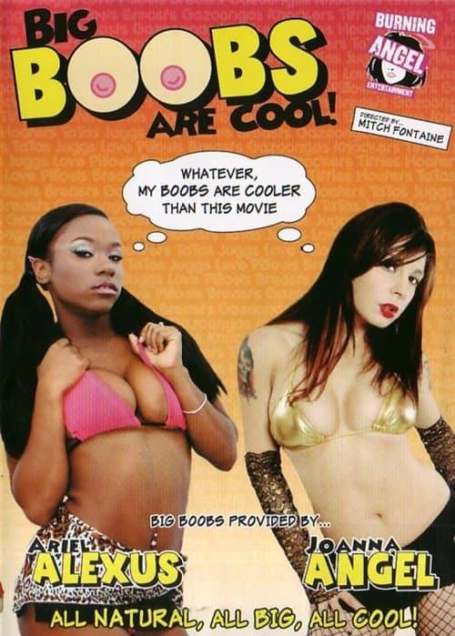 Big Boobs are Cool!のポスター