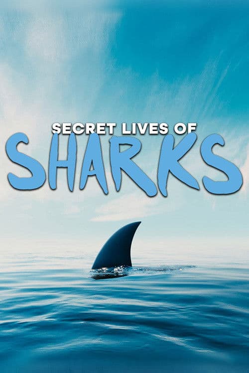 The Secret Lives of Sharksのポスター