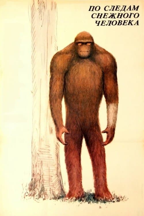 По следам снежного человекаのポスター