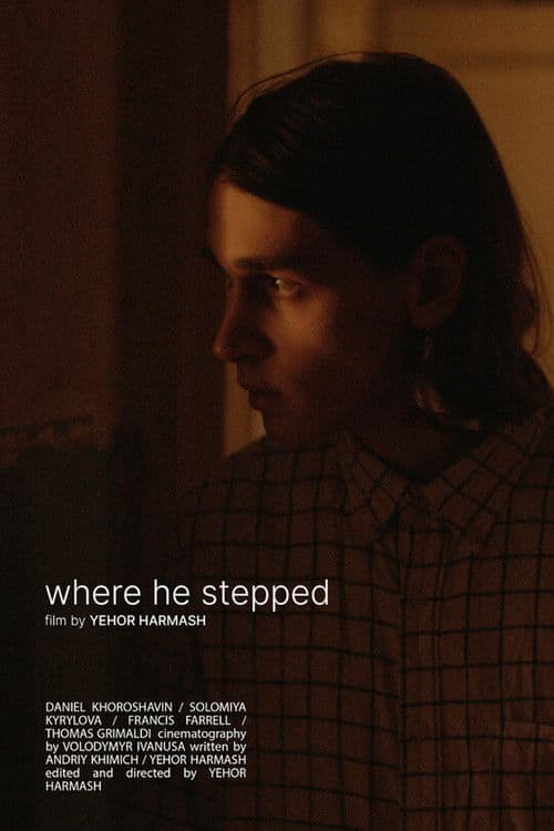 where he steppedのポスター