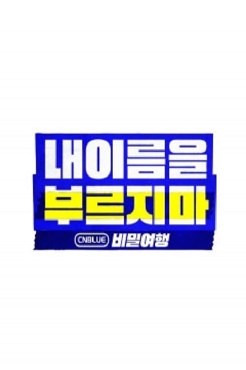 CNBLUE Secret Tour: Don't Call My Nameのポスター