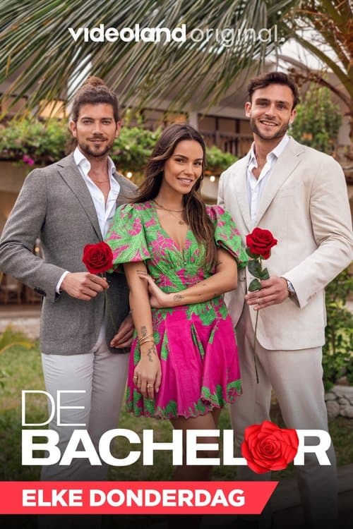 De Bachelorのポスター