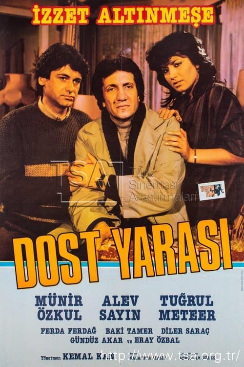 Dost Yarasıのポスター