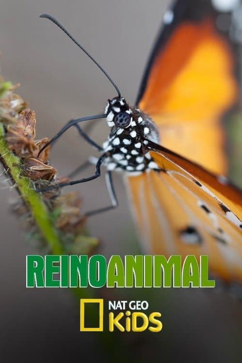 Reino Animalのポスター
