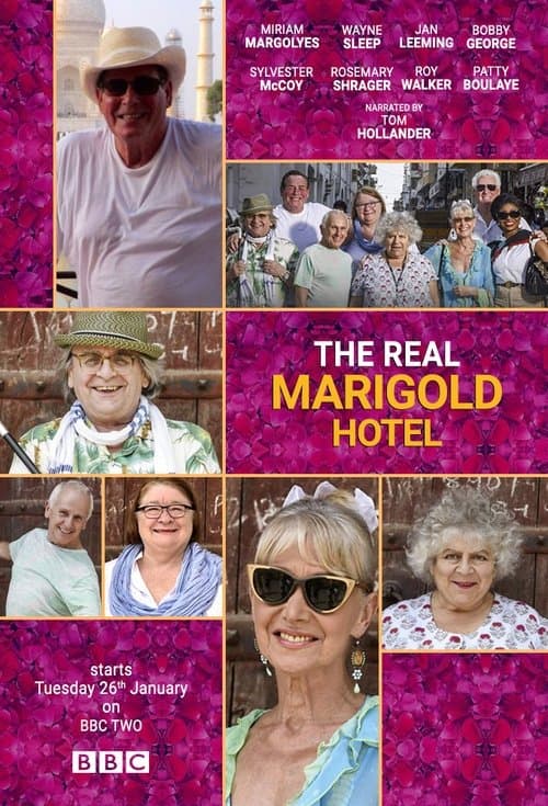 The Real Marigold Hotelのポスター