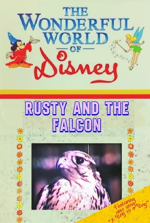 Rusty and the Falconのポスター