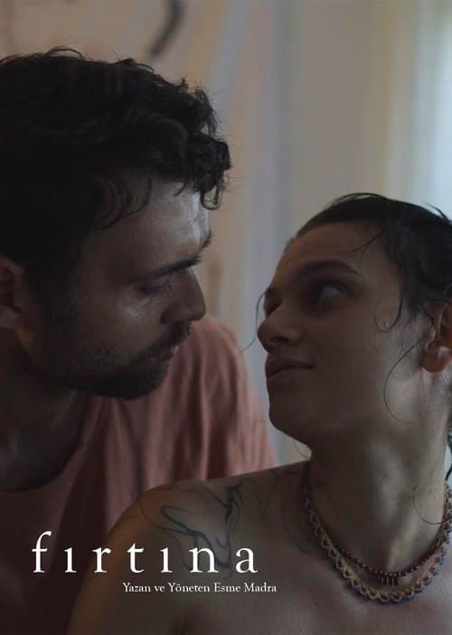 Fırtınaのポスター