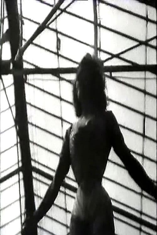 Le Friquetのポスター