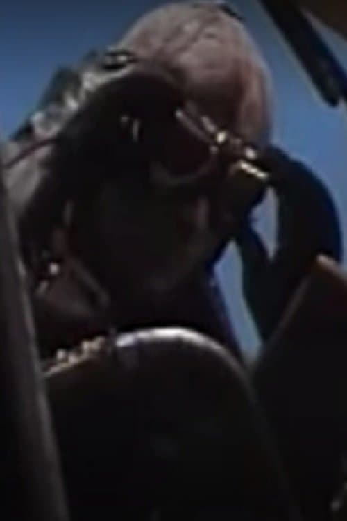 Zrakoplovのポスター