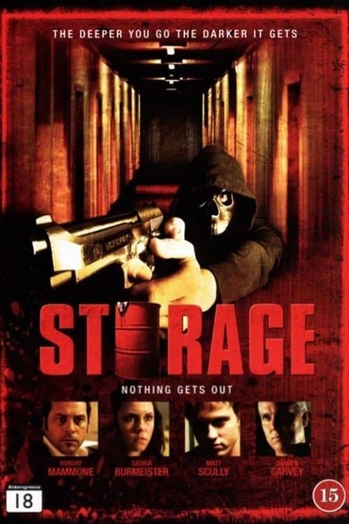 Storageのポスター