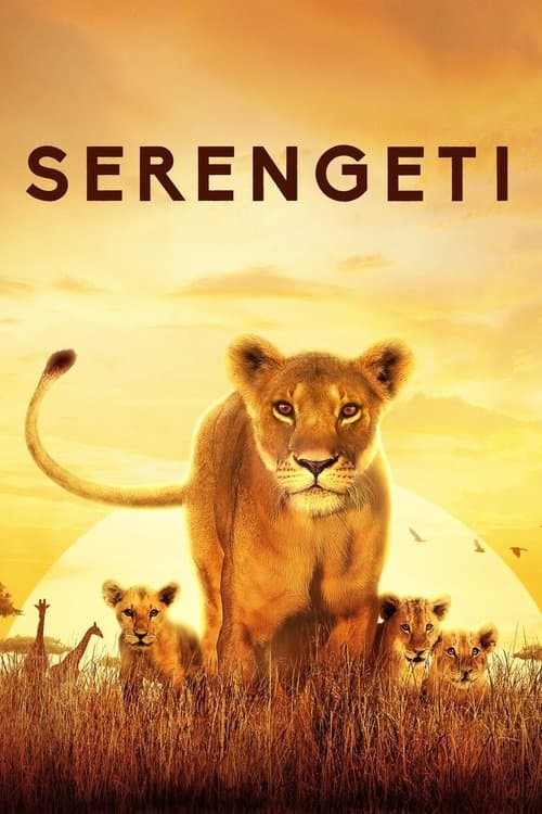 Serengetiのポスター