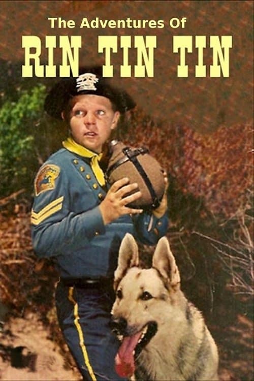 The Adventures of Rin Tin Tinのポスター