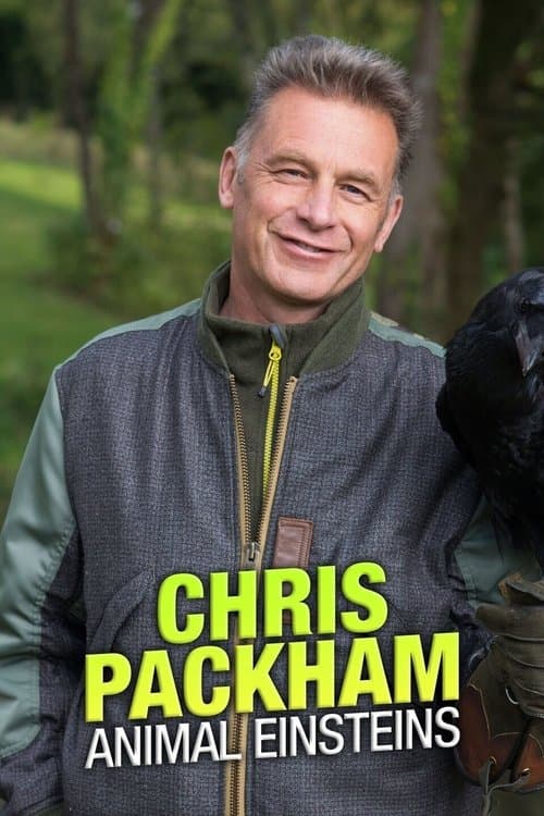 Chris Packham's Animal Einsteinsのポスター