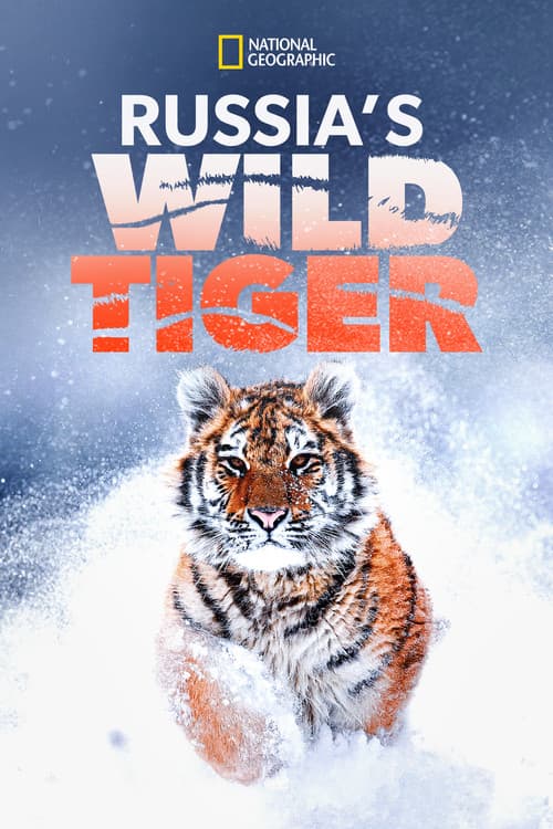 Russia's Wild Tigerのポスター