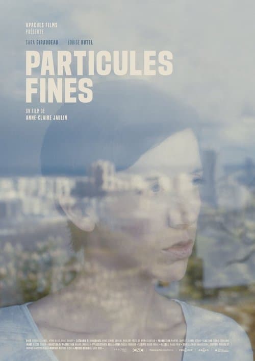 Particules finesのポスター