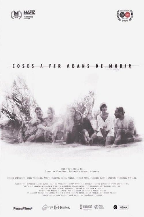 Coses a fer abans de morirのポスター