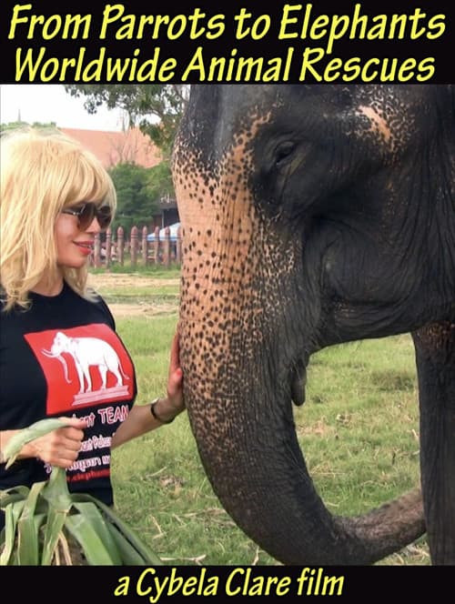 From Parrots to Elephants: Worldwide Animal Rescuesのポスター