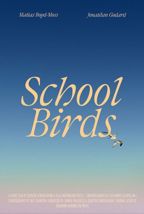 School Birdsのポスター