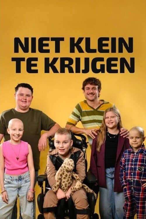 Niet klein te krijgenのポスター