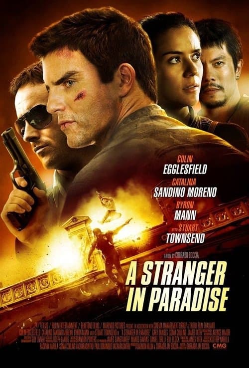 A Stranger in Paradiseのポスター
