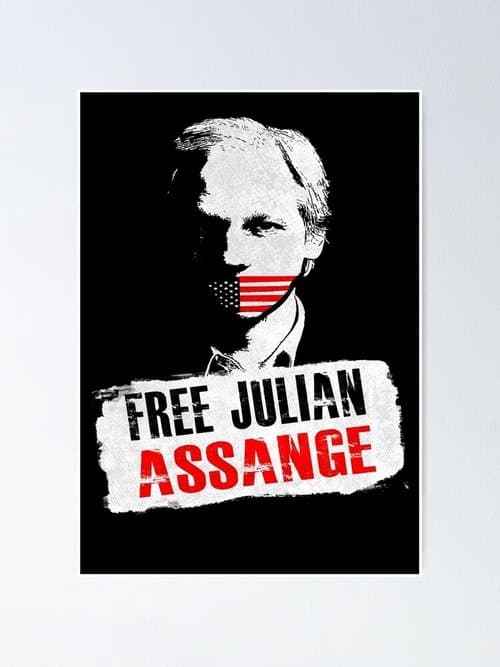 Julian Assange: Chronik einer Spionageaffäreのポスター