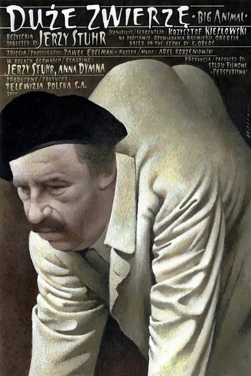 Duże zwierzęのポスター