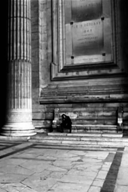 Venus in Fursのポスター