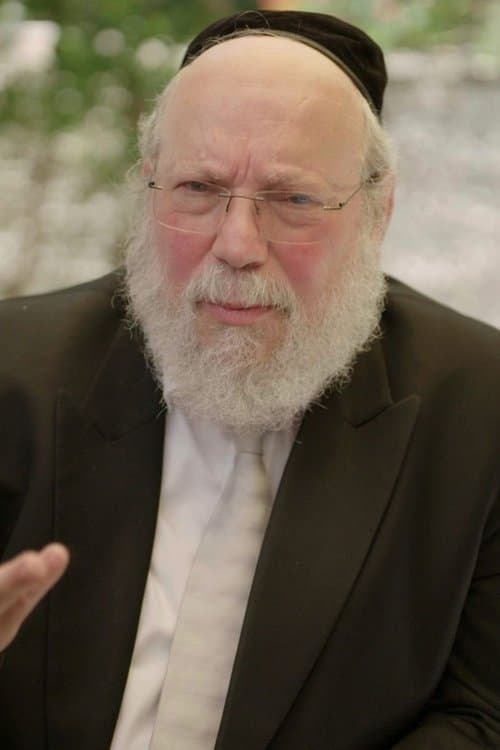 Het Beloofde Landのポスター