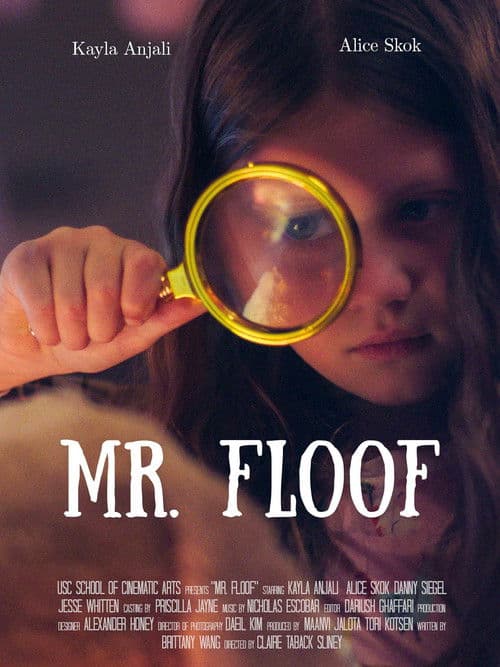 Mr. Floofのポスター