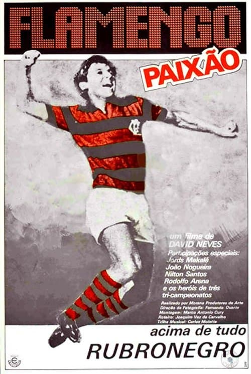 Flamengo Paixãoのポスター