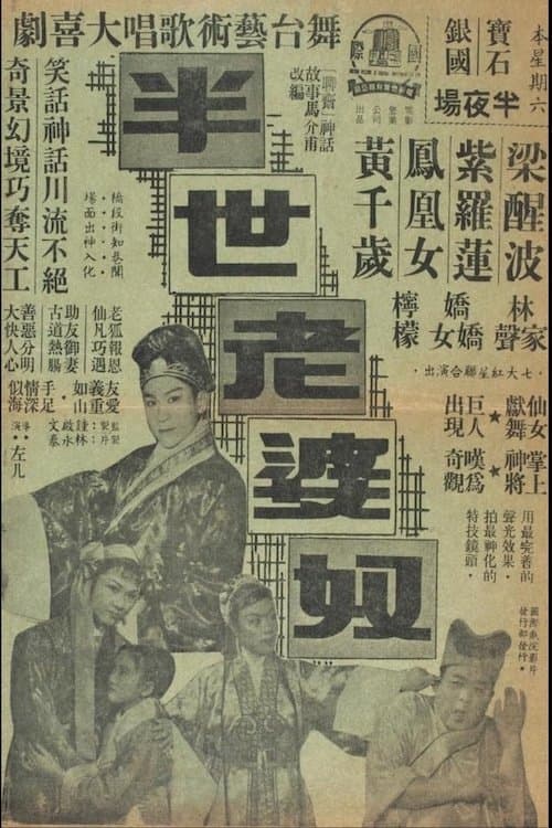 半世老婆奴のポスター