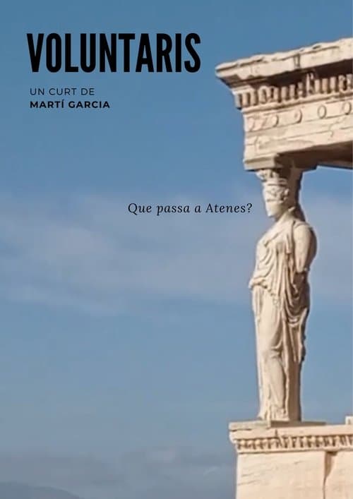 Voluntarisのポスター