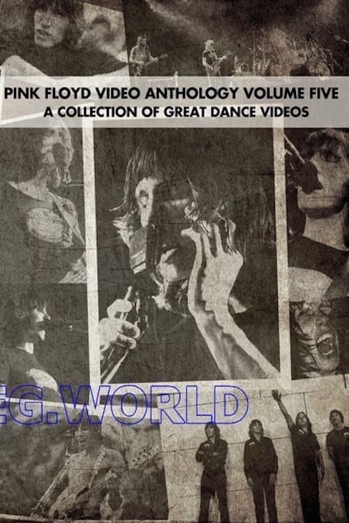 Pink Floyd:  Video Anthology Vol. 5のポスター