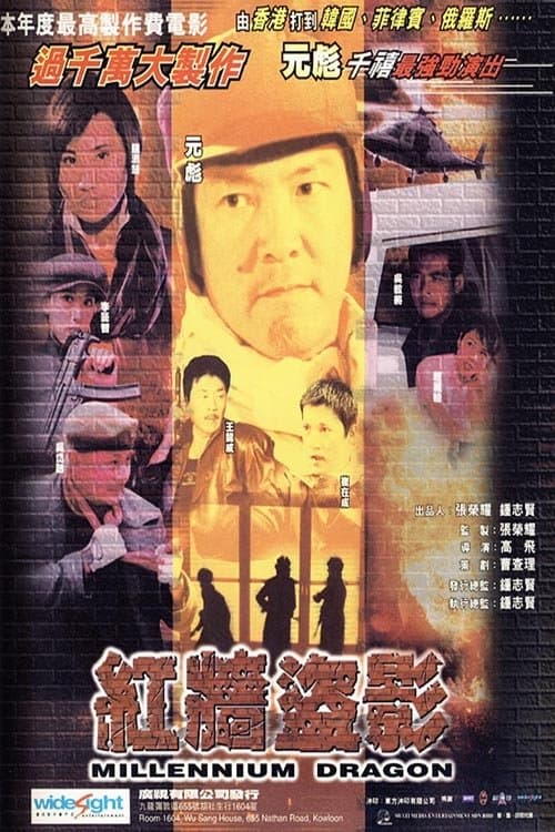 紅牆盜影のポスター